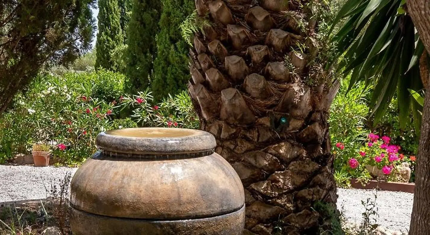 Finca Son Jorbo LANDSCAPE