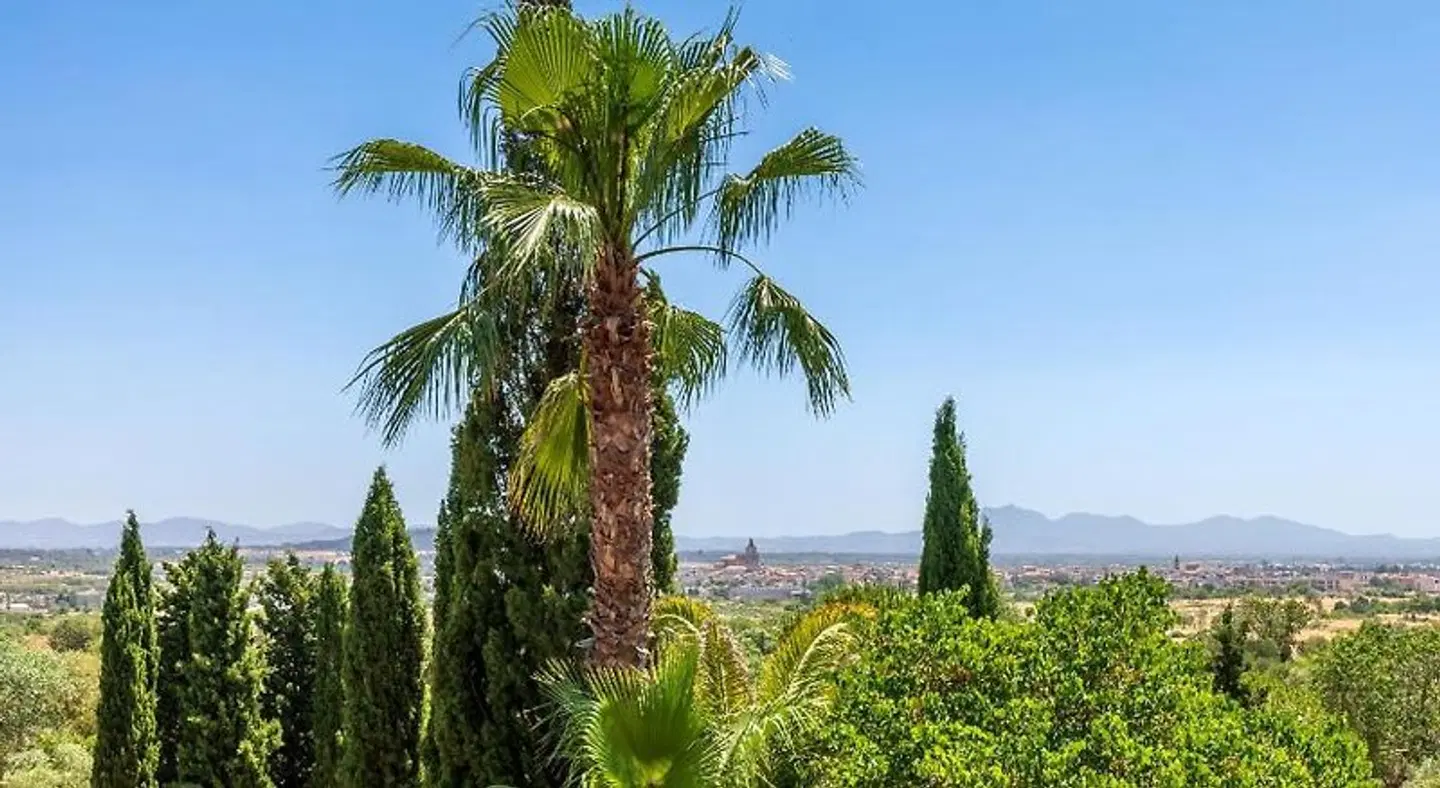 Finca Son Jorbo LANDSCAPE