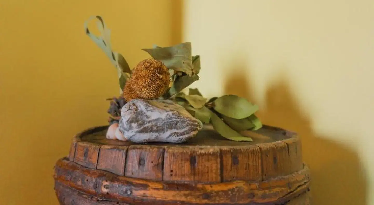 Rural Son Borguny ROOM_EXAMPLE