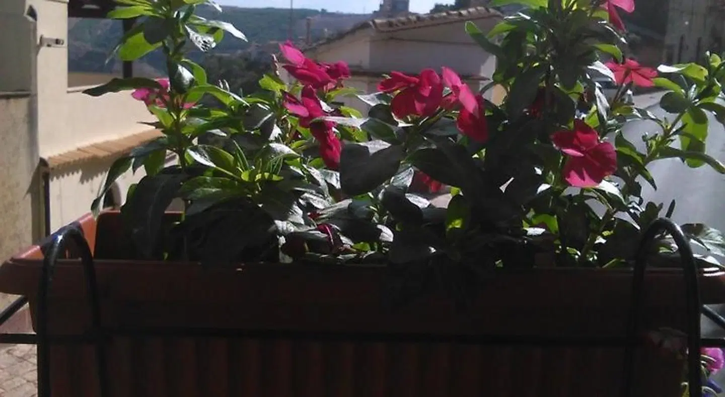 B&B Belvedere All'Idria LANDSCAPE