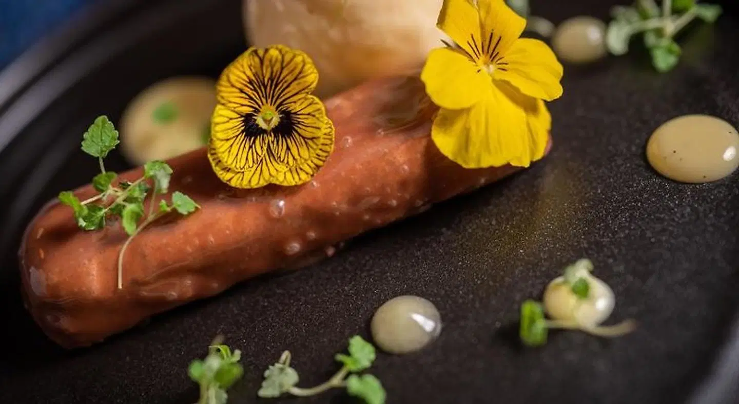 No. 11 Boutique Hotel Tiere