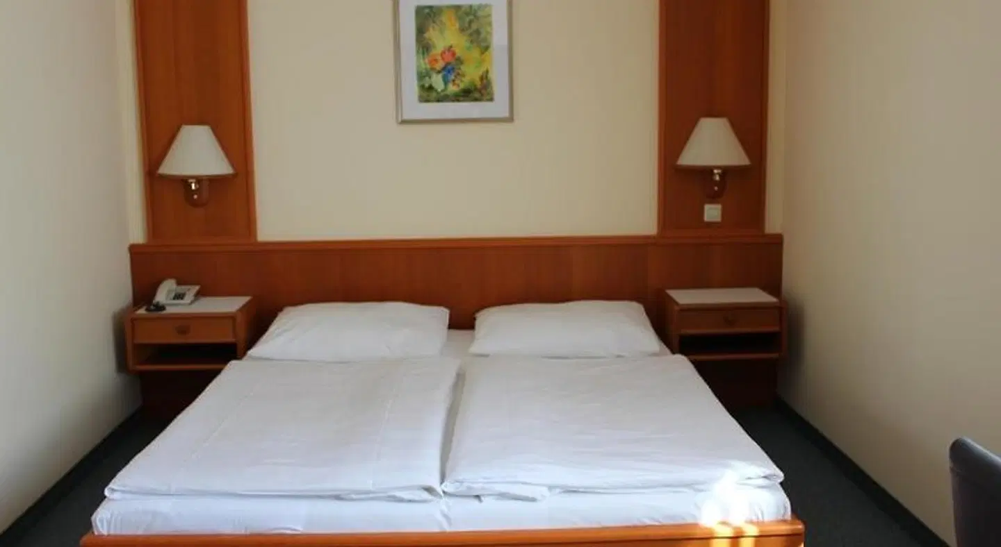 Hotel Ganslhof ROOM_EXAMPLE
