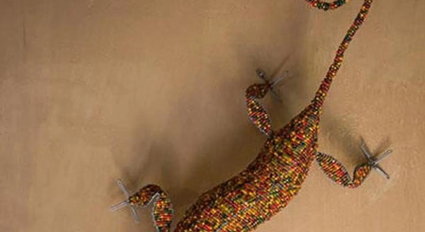 AmaZulu Lodge HEALTH_BEAUTY