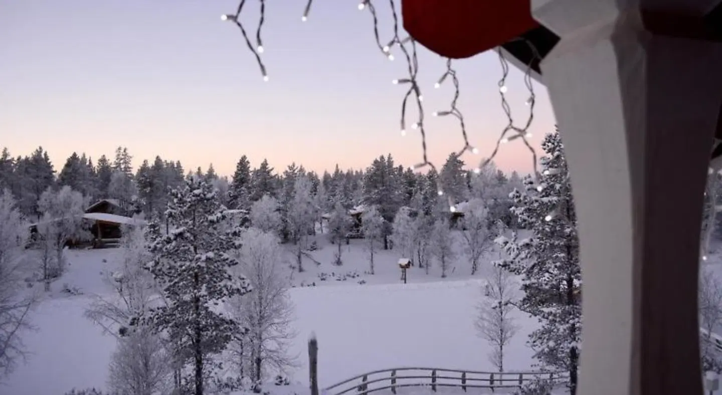 Kakslauttanen Arctic Resort Tiere