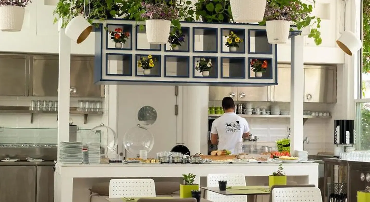 Ascot Hotel Büyükada Tiere