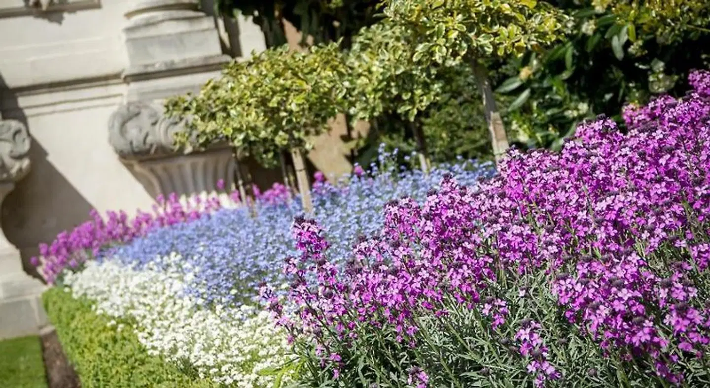 The Lion Gate Mews Strand