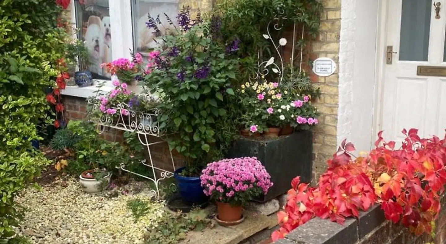 Arts & Bichons B&B Garten