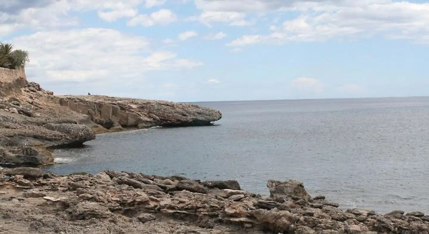 Apartamentos Los Pinos LANDSCAPE