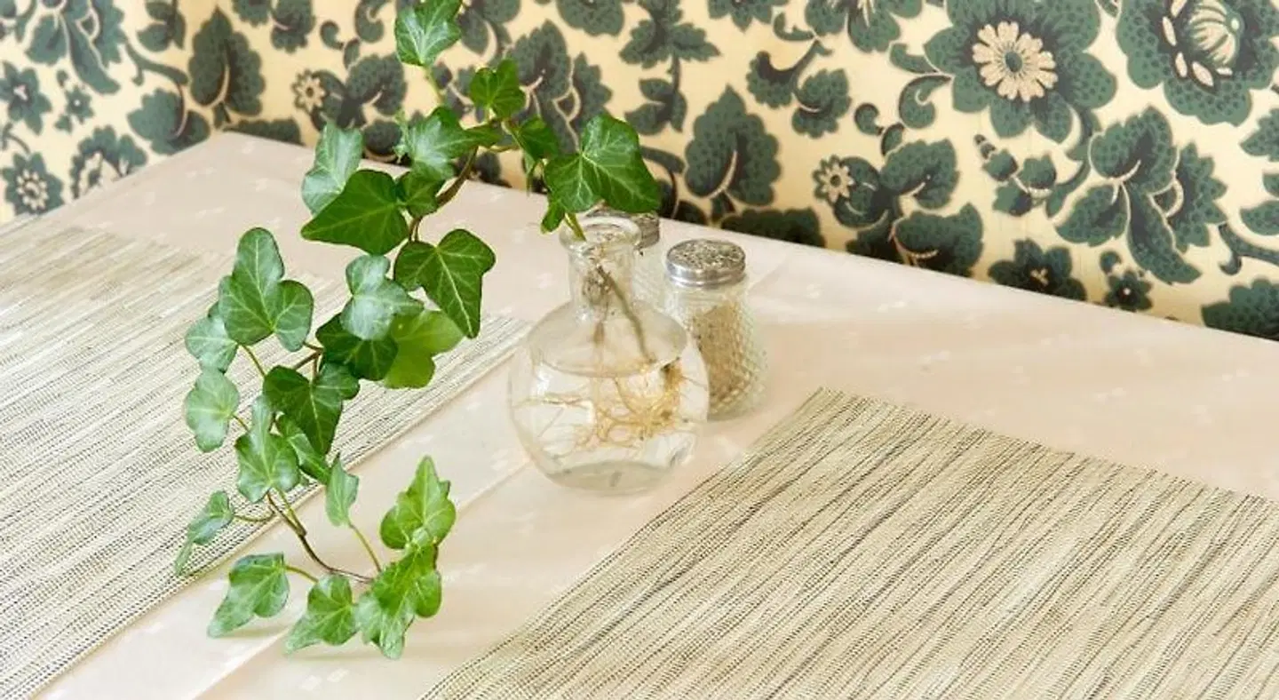 Lilla Hotellet i Nora Terrasse