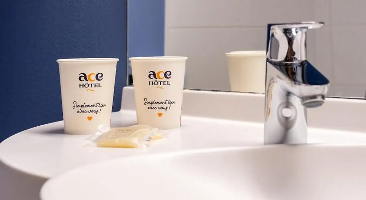 Ace Hôtel Clermont Ferrand La Pardieu Badezimmer
