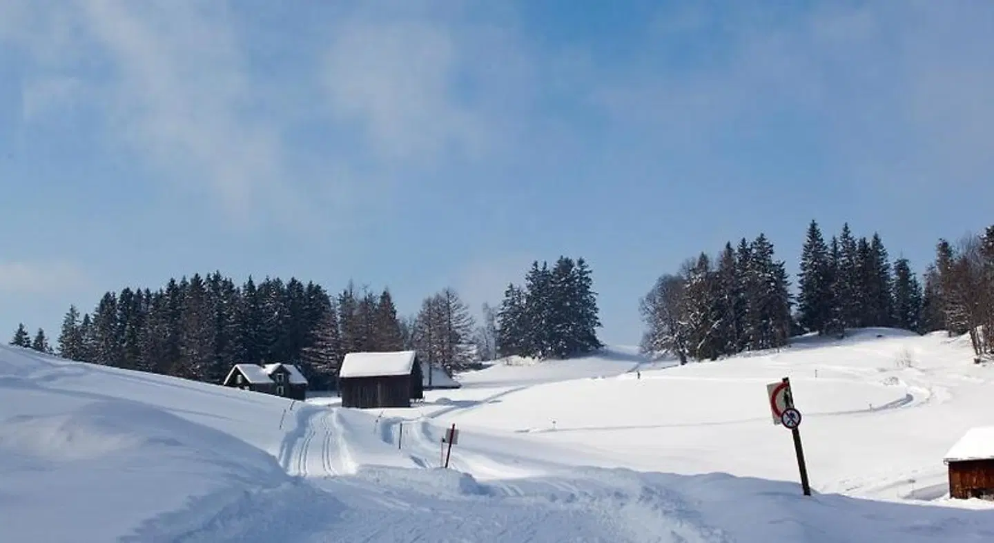 Arvenbüel LANDSCAPE