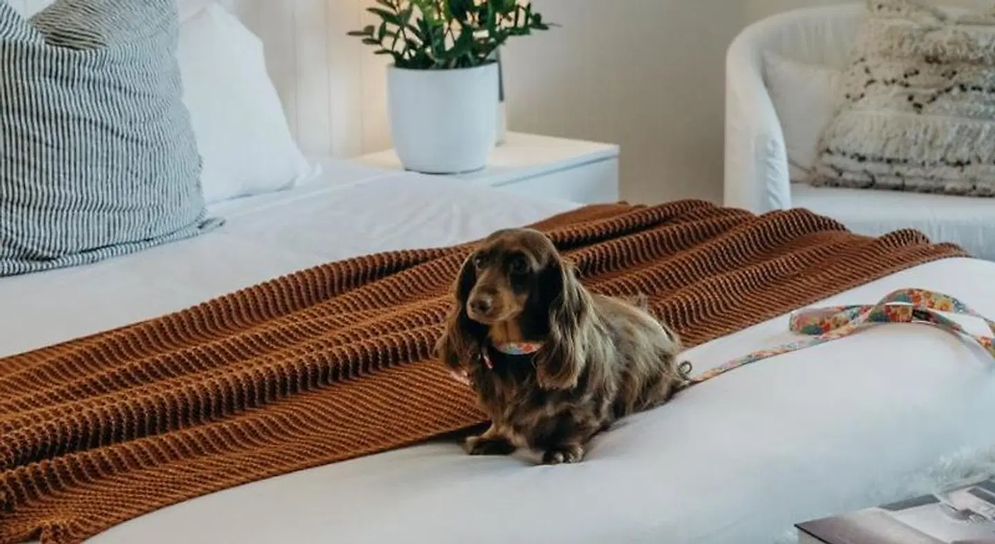 Bannisters Port Stephens ROOM_EXAMPLE