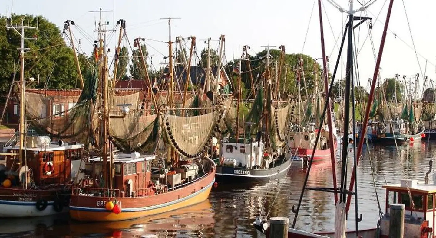 Hotel Schatthaus Restaurant