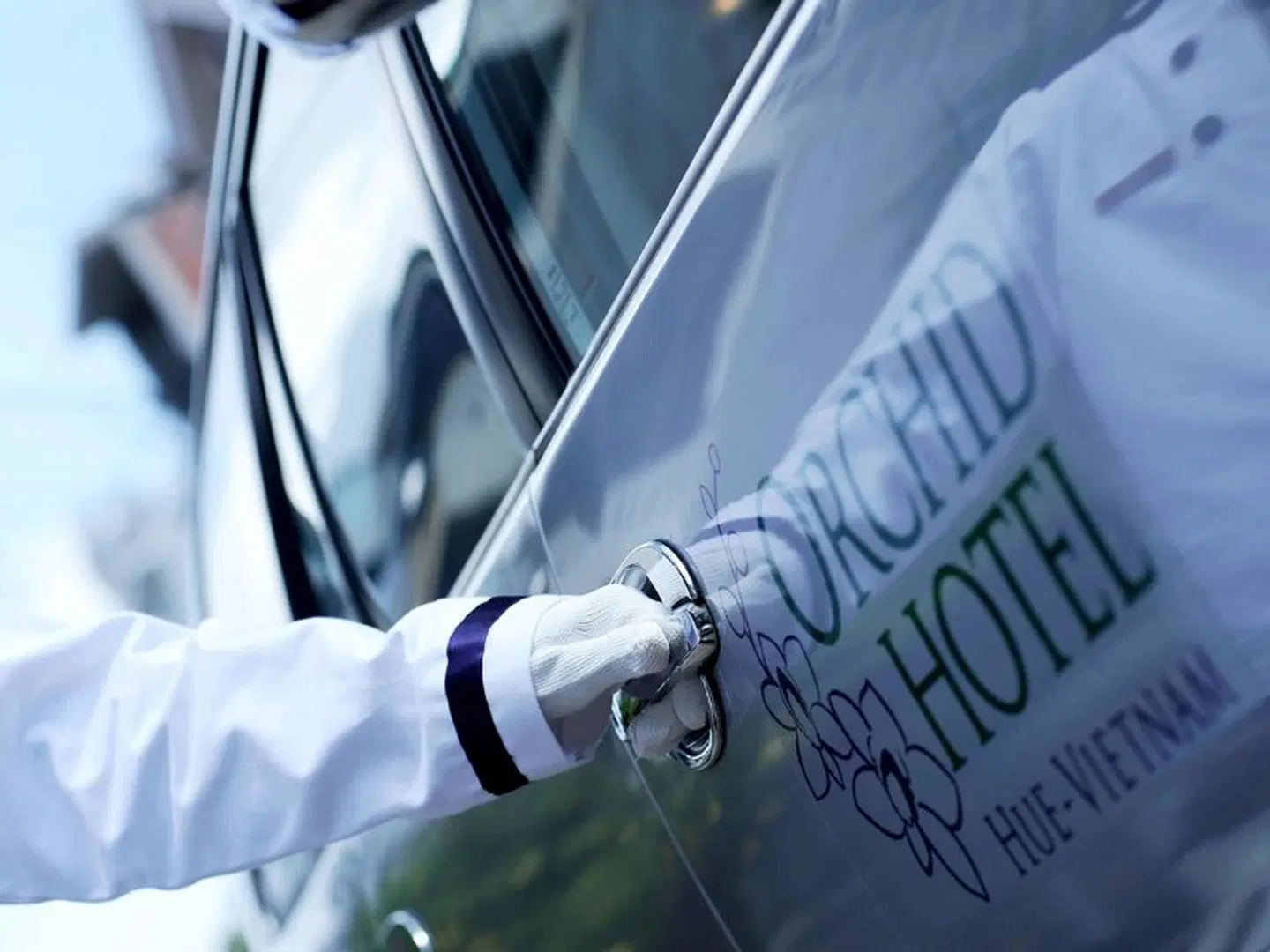Orchid Hotel Tiere