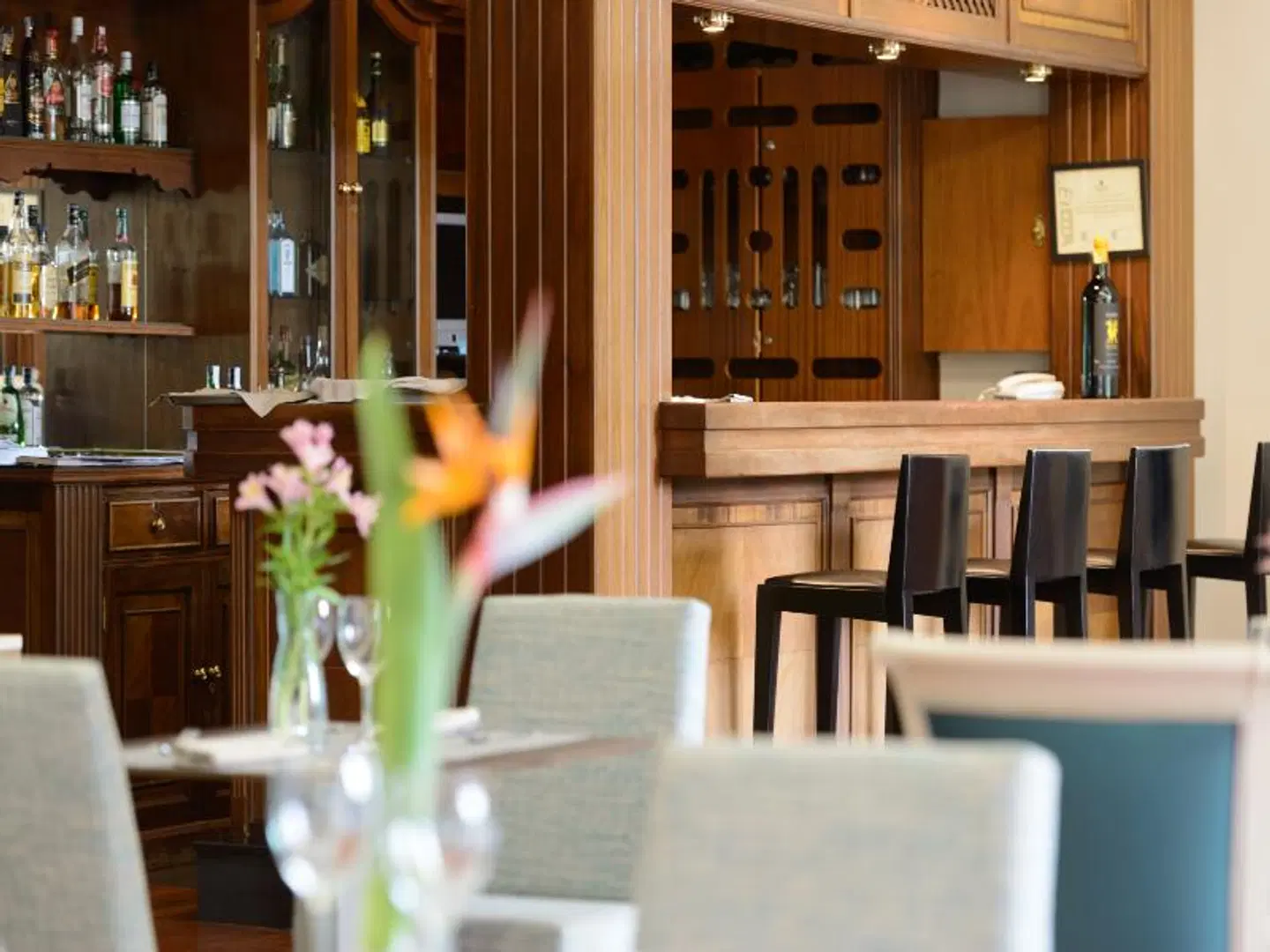 Escuela Santa Brígida Bar