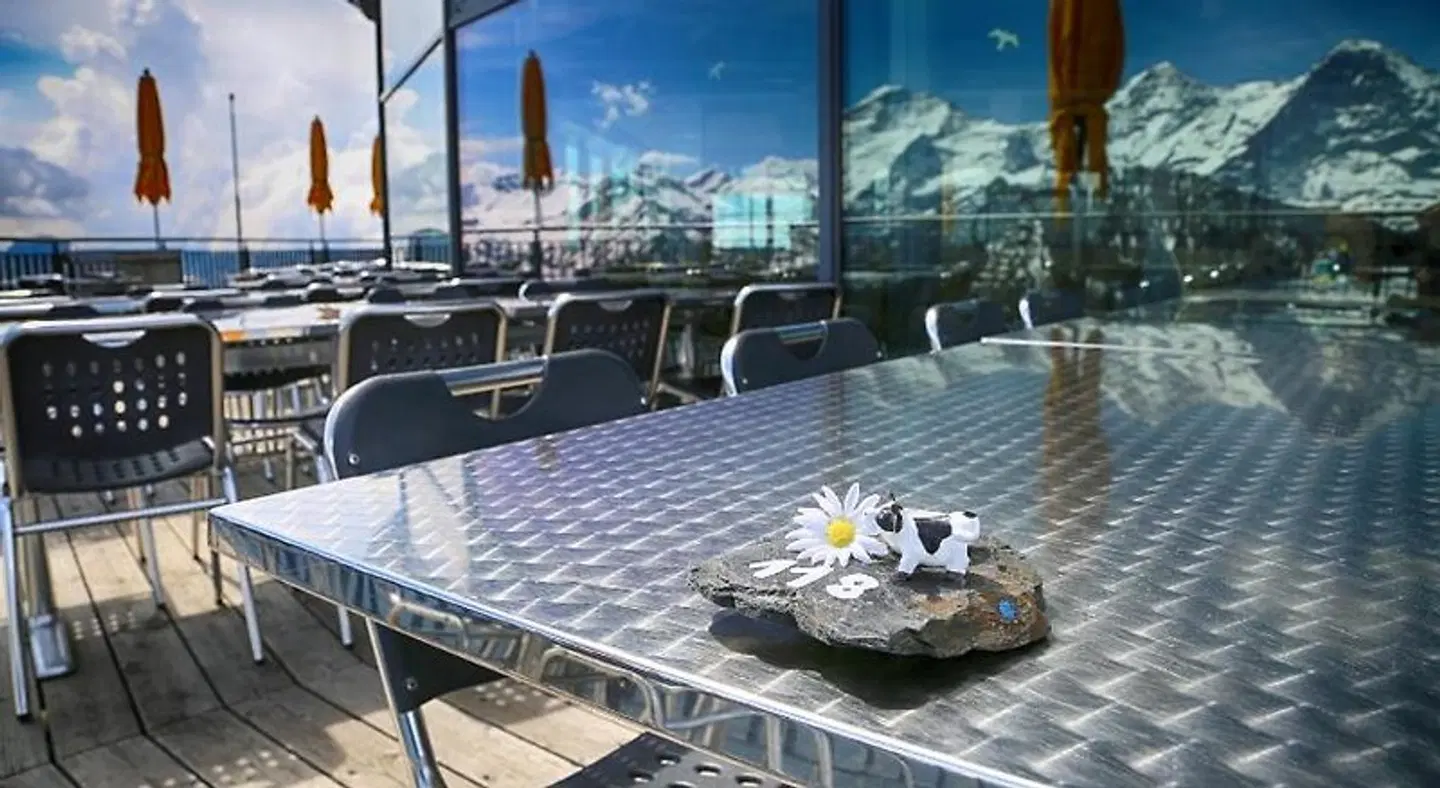 Berghotel Schynige Platte Terrasse