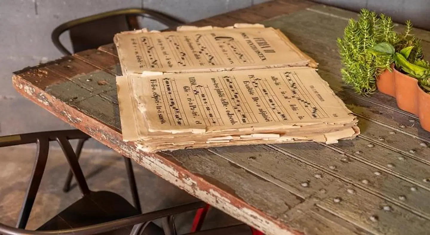 Brick Palma LANDSCAPE