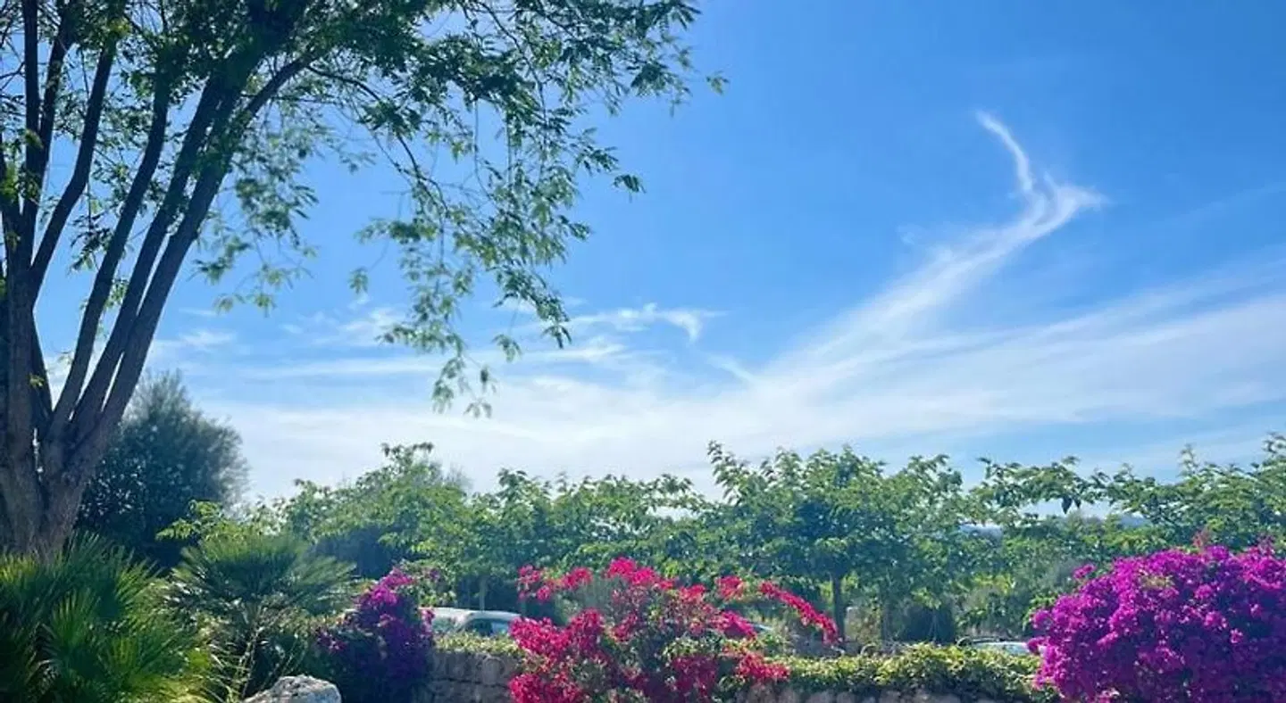 Finca Agroturismo Ses Illes Terrasse