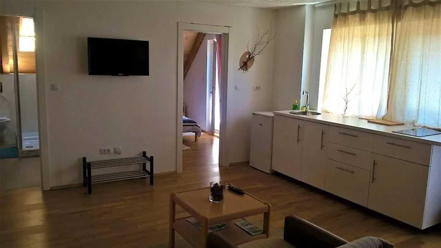 Guesthouse Bor ROOM_EXAMPLE