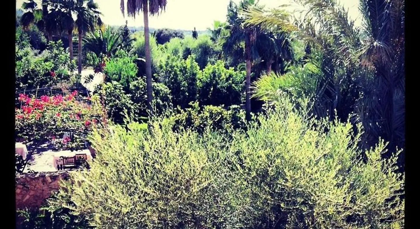 Finca Son Terrassa Garten