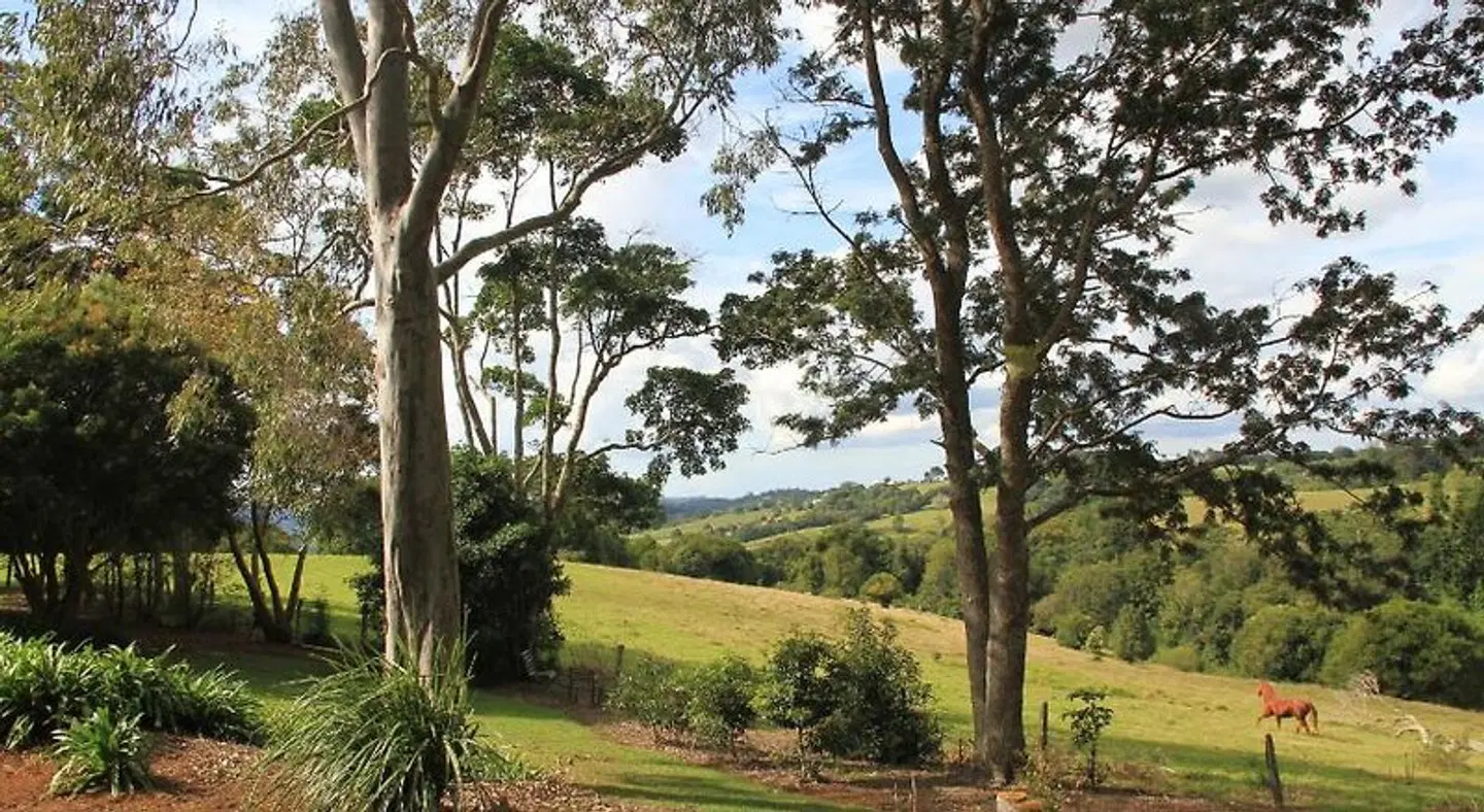Seasons of Maleny B&B Garten