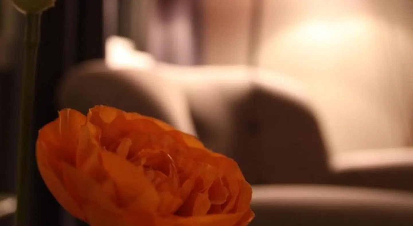 Haukeli Hotel ROOM_EXAMPLE