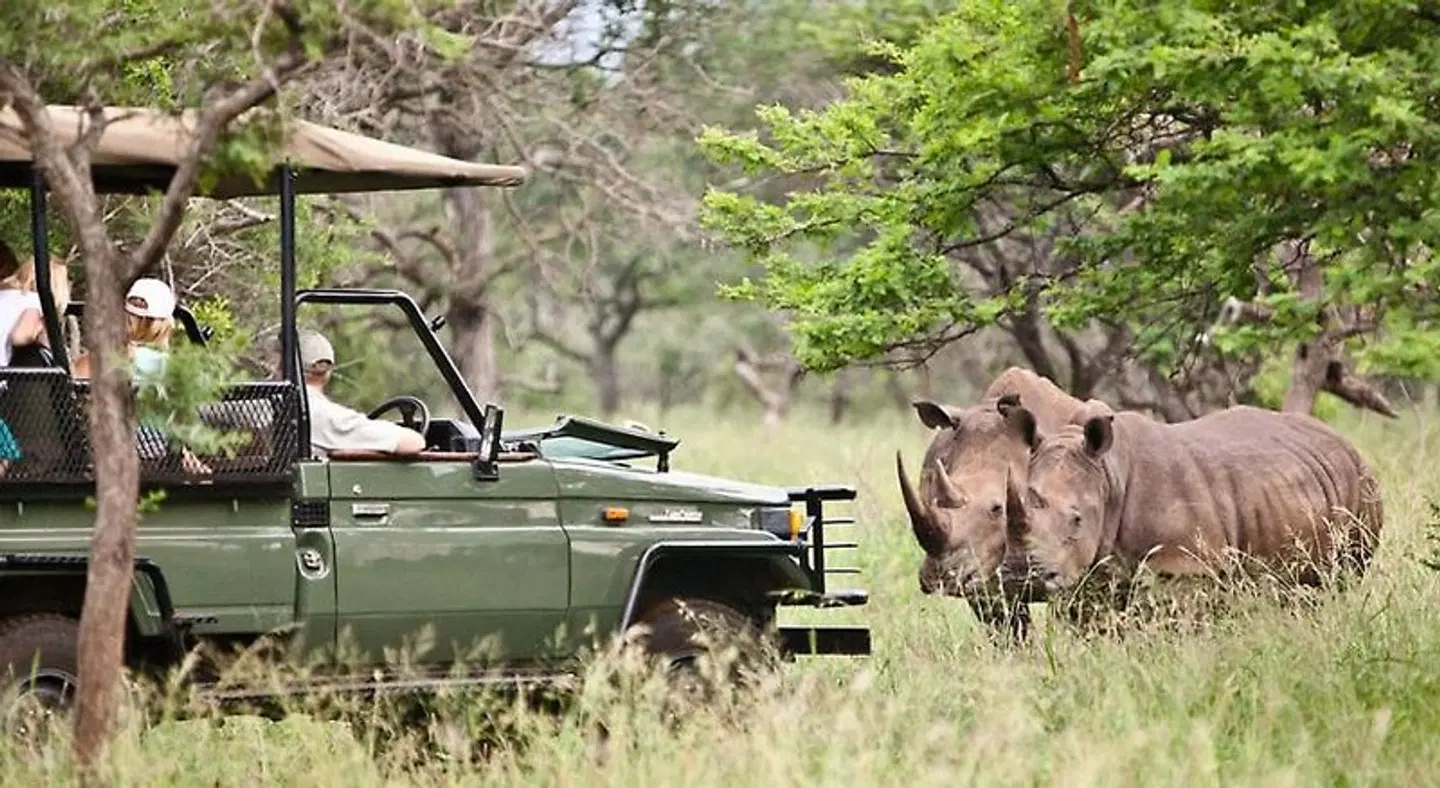Msunduze River Lodge Tiere