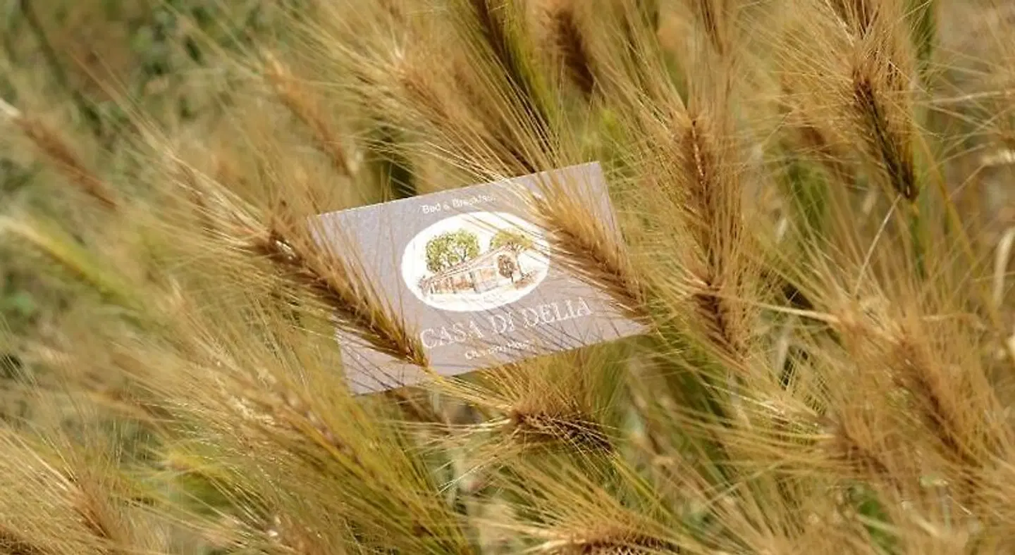 A Casa Di Delia B&B Charming House LANDSCAPE