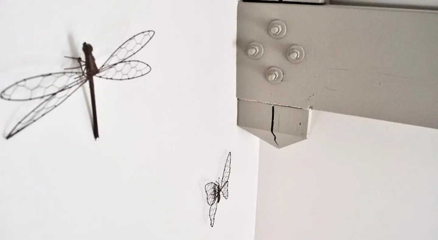 Fleur de Ré MODEL_IMPRESSION