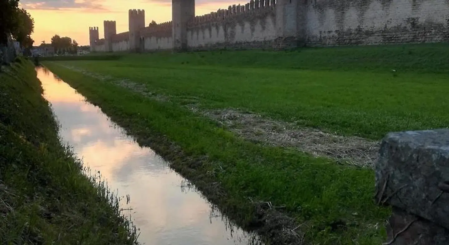 Hotel Aldo Moro LANDSCAPE