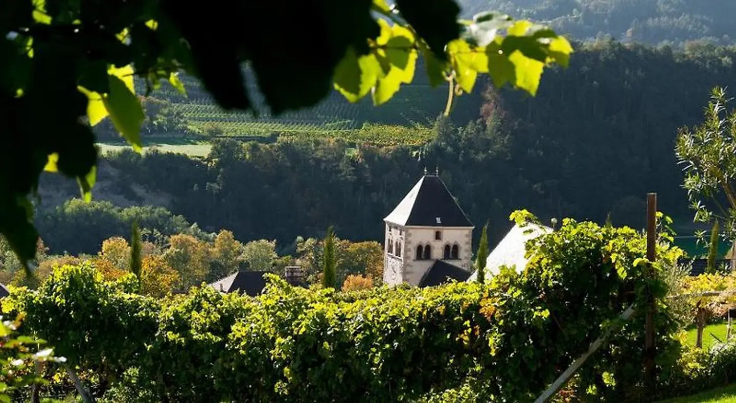 Hotel Brückenwirt Garten