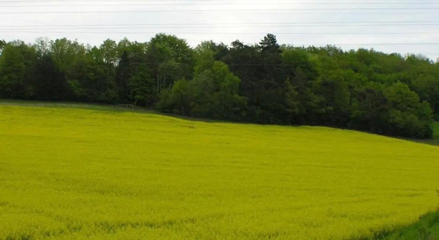 Auberge de Bourgogne SPORTS_AND_LEISURE