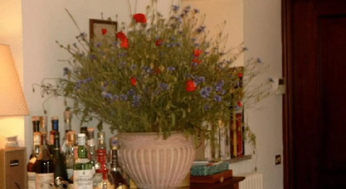 Residenza Del Lago LOUNGE_LOBBY