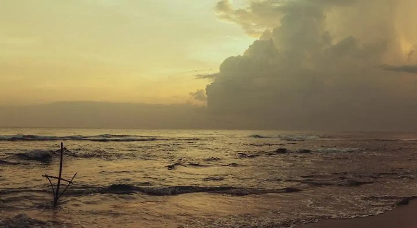 Venus Villa LANDSCAPE