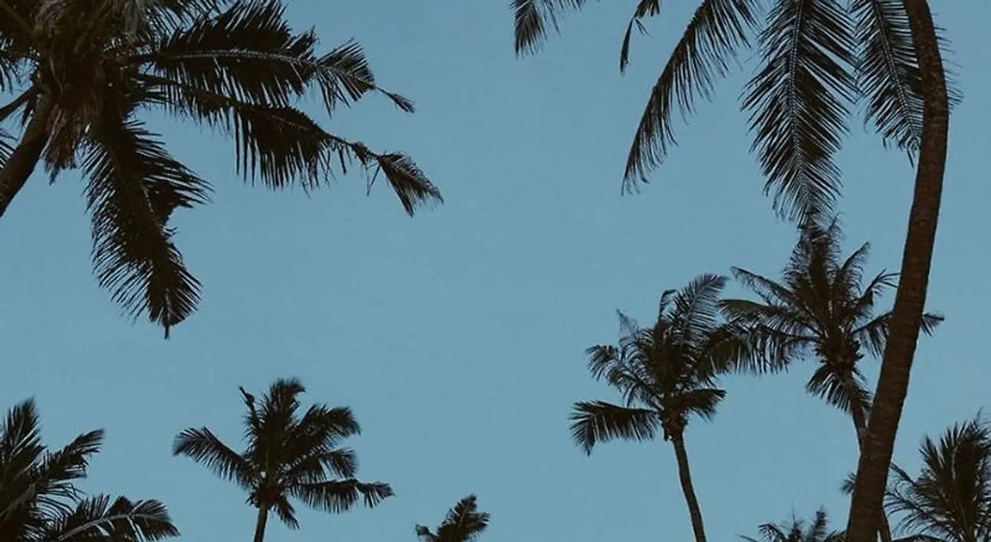 Venus Villa LANDSCAPE