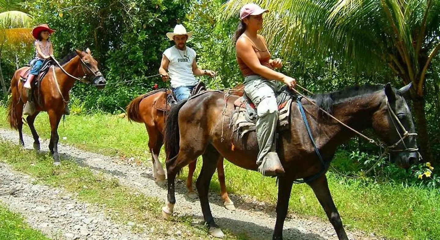 LagunaVista Villas Tiere