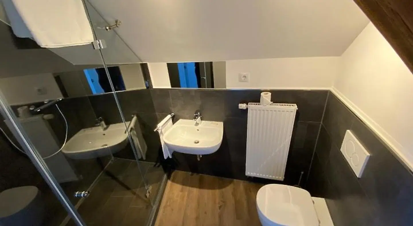 BürgerhausLöwen Badezimmer