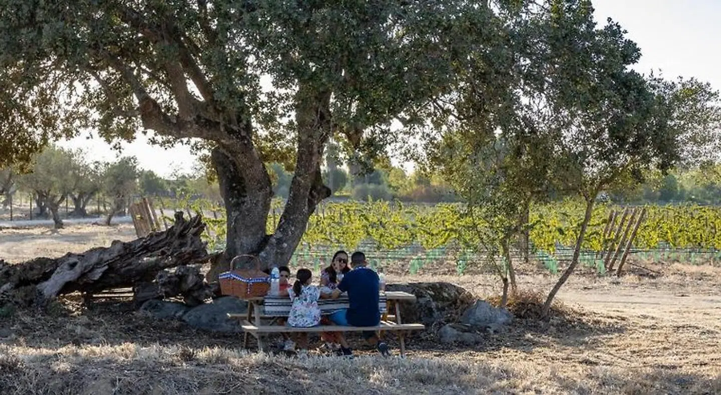 Quinta da Amendoeira - Evora - The Farmhouse Tiere