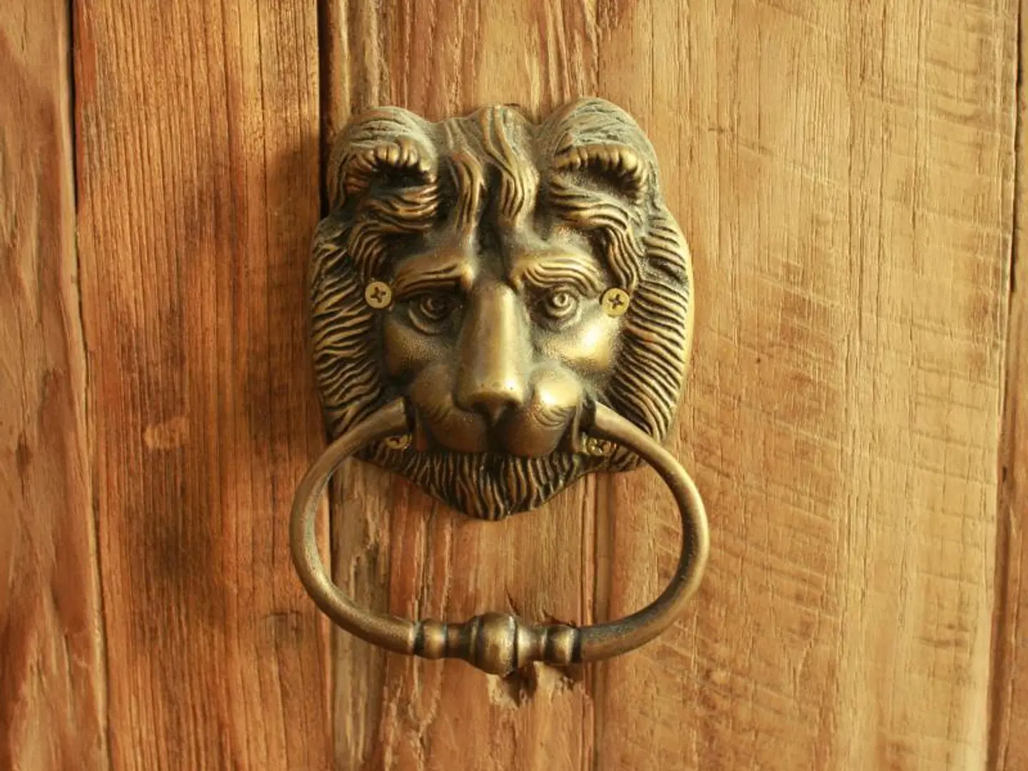 Aspira D'Andora Sukhumvit 16 Tiere