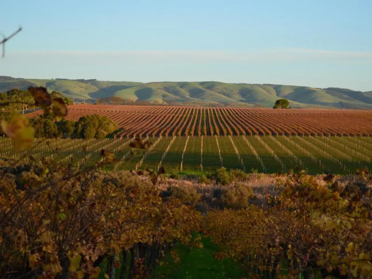 Amande Bed and Breakfast LANDSCAPE