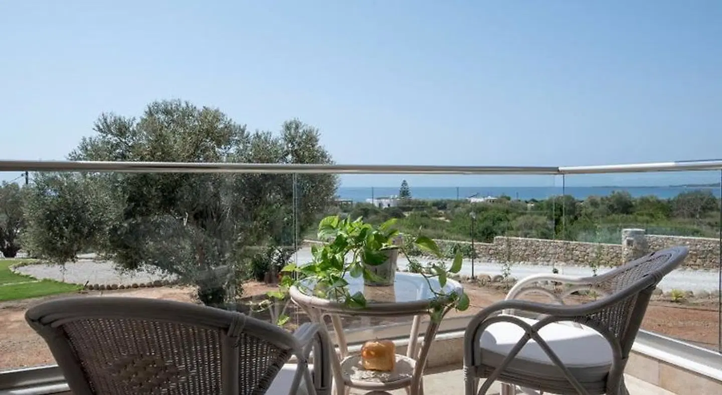 Libyan Mare Terrasse