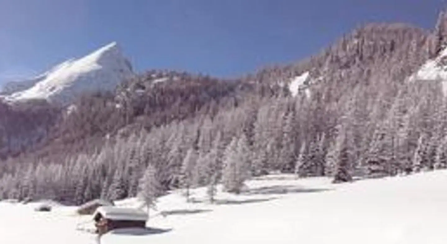 Hotel Albe LANDSCAPE