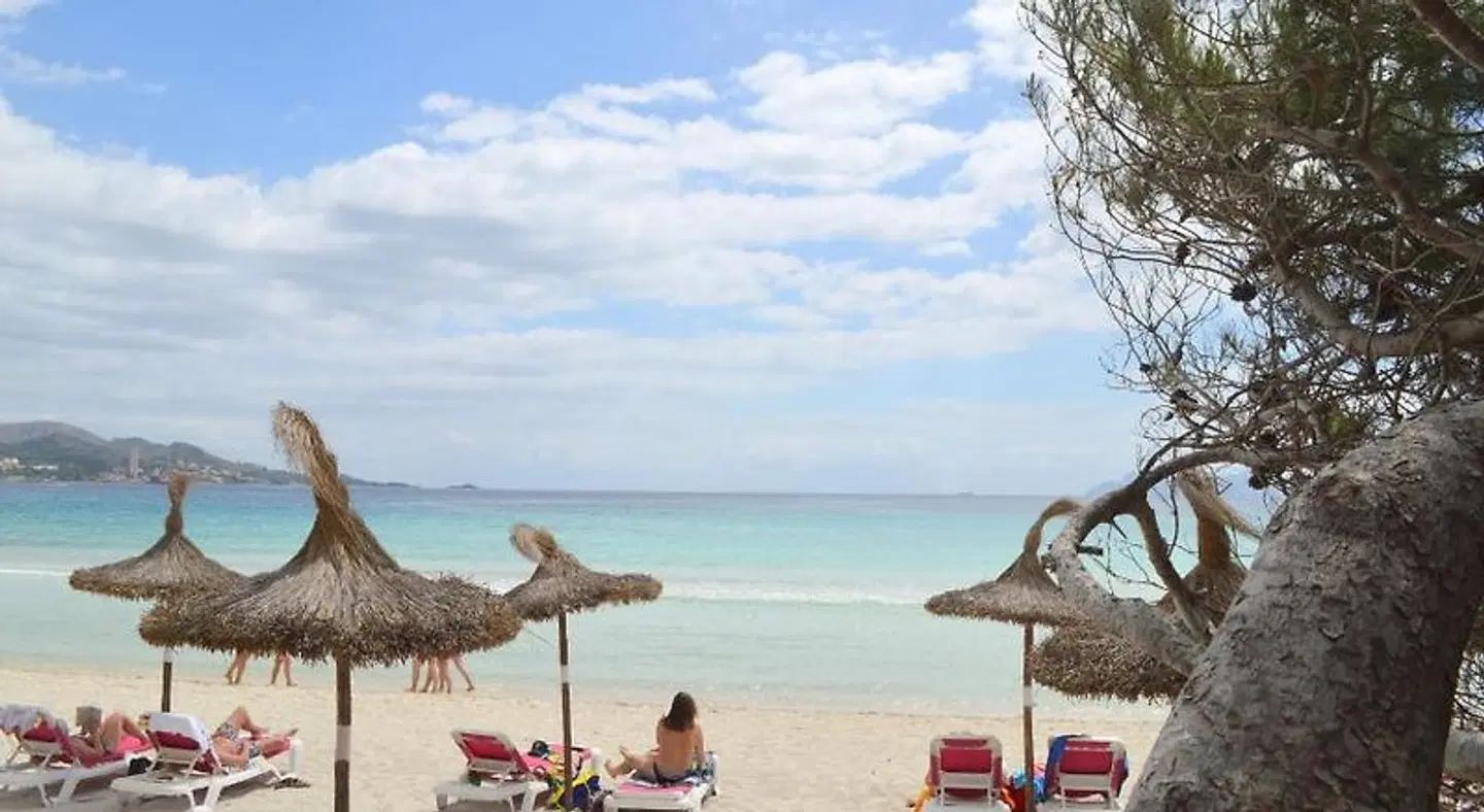 Hostal Brisa Marina Tiere