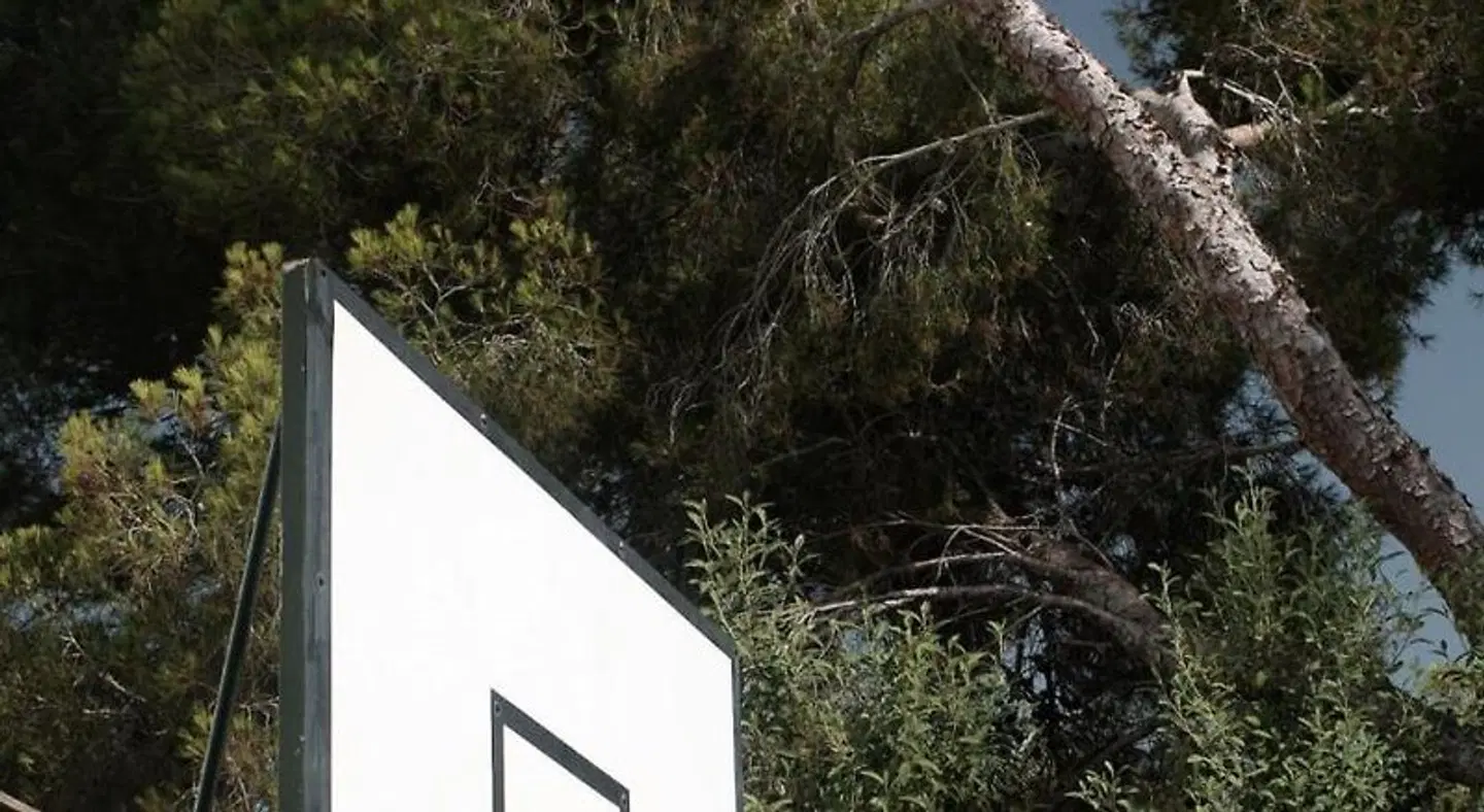 Prinsotel Alba LANDSCAPE