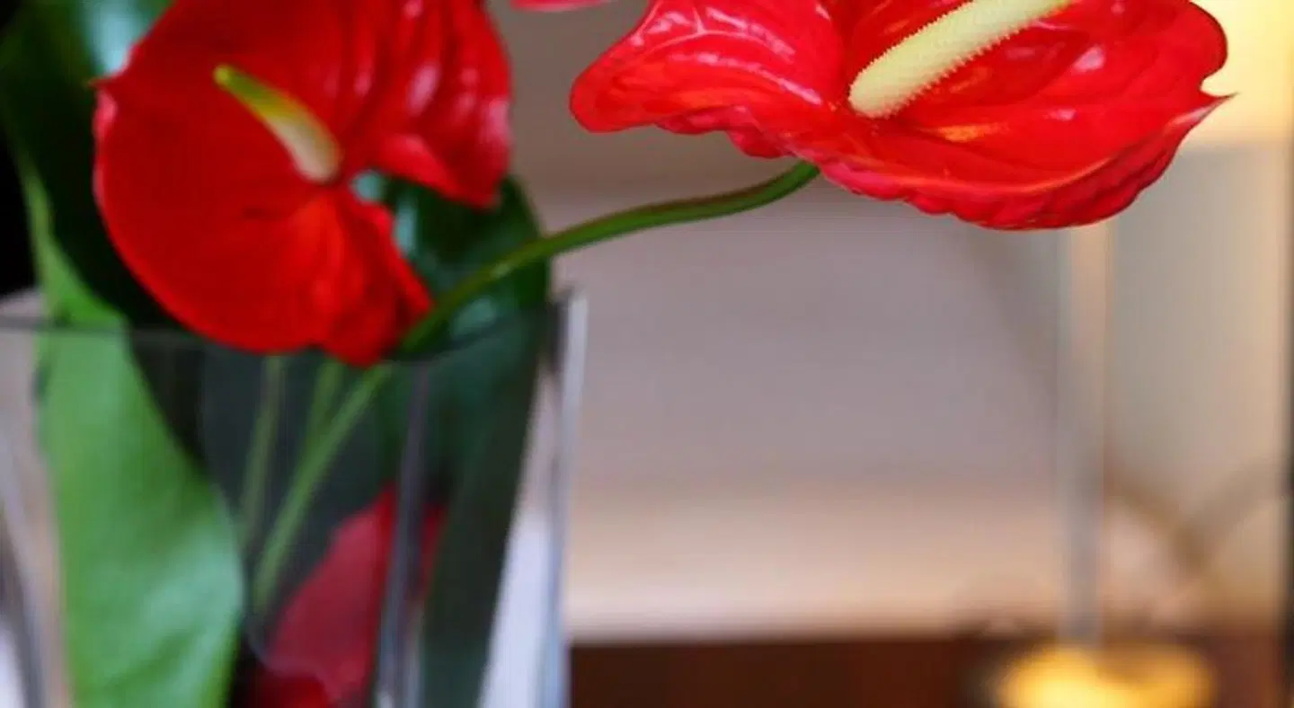 Aparthotel Attica 21 Vallés ROOM_EXAMPLE