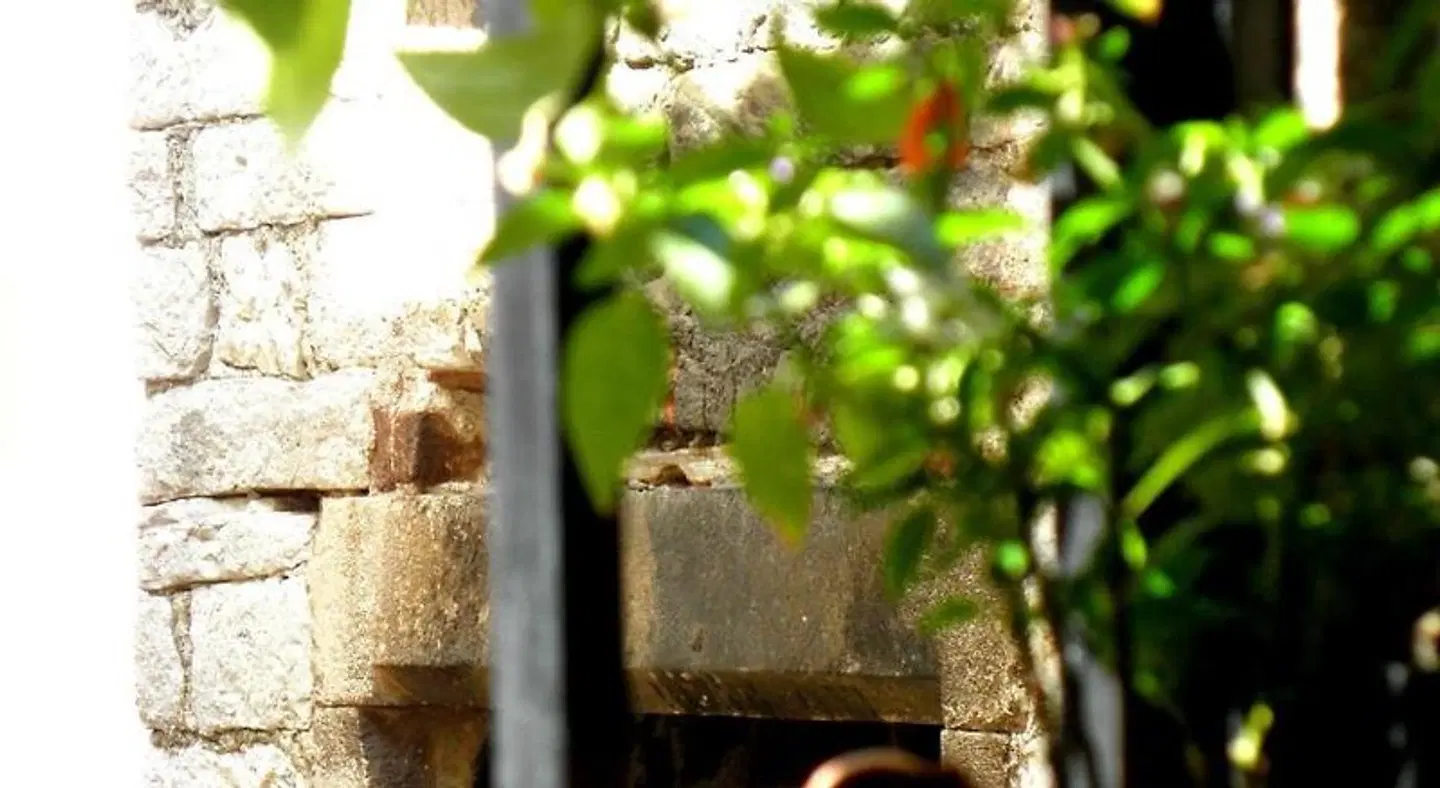 Pansion Sibenik Garten