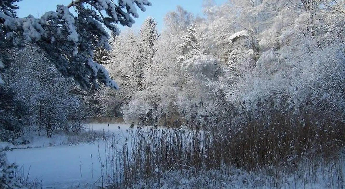 Resort Bad Boekelo LANDSCAPE