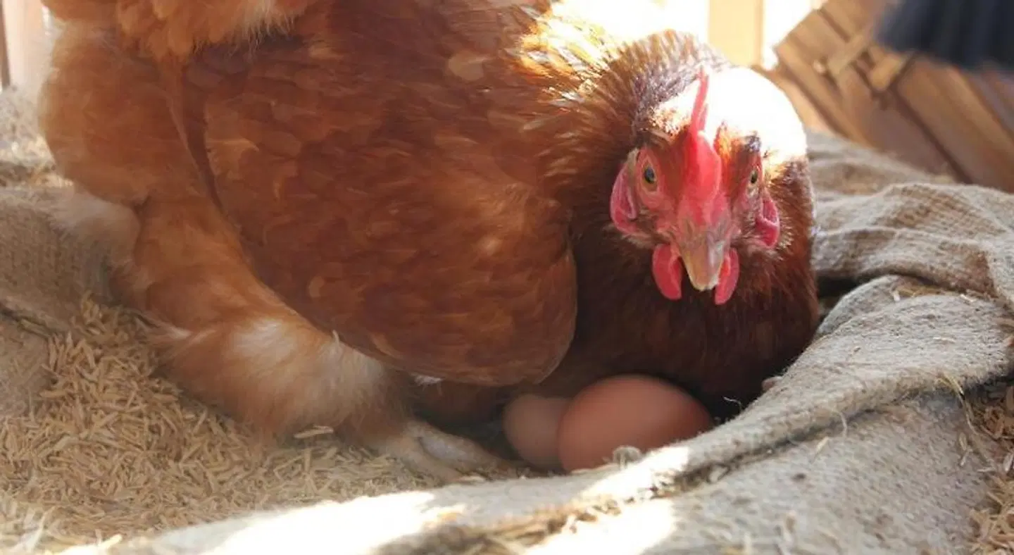 Menam Resort HEALTH_BEAUTY