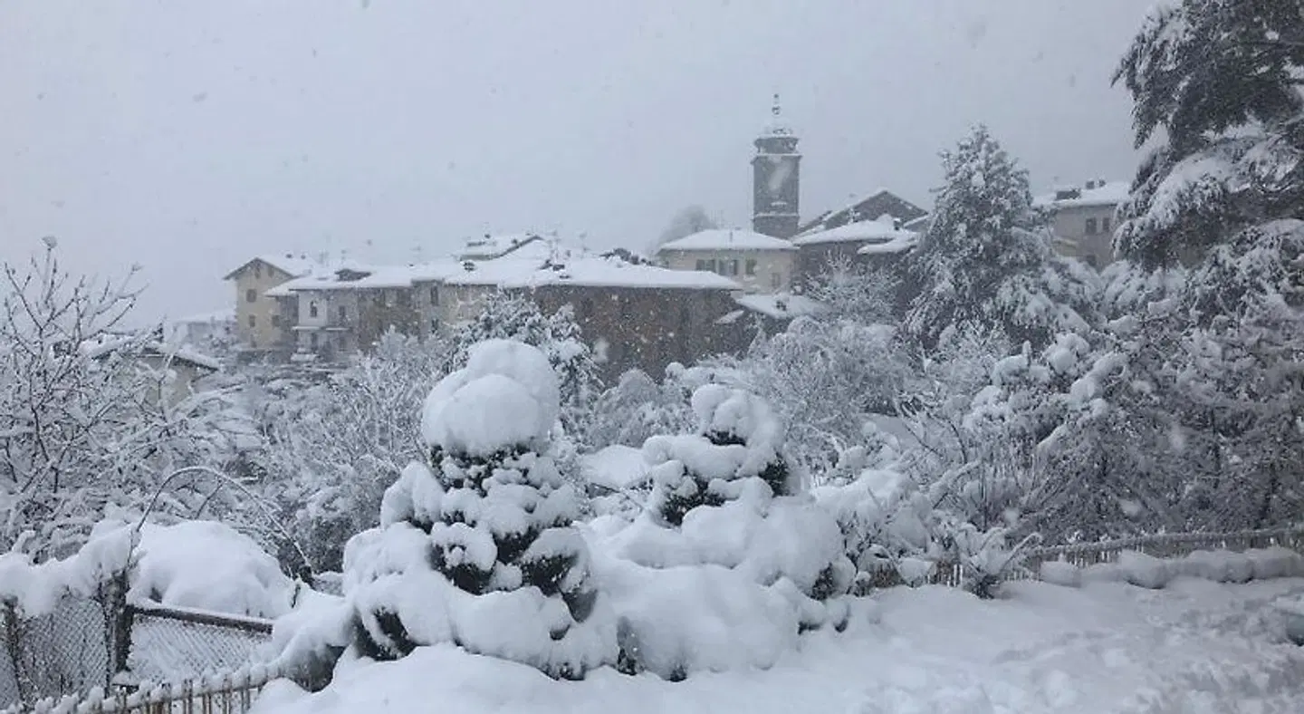 Albergo Franceschi Tiere