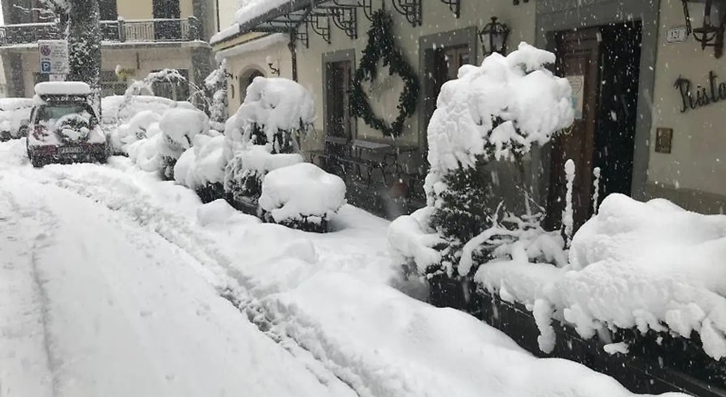 Albergo Franceschi Tiere